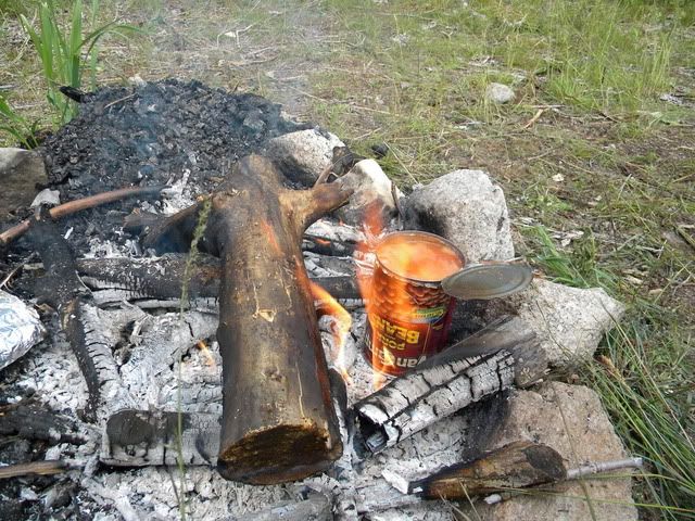 DSCN3969.jpg