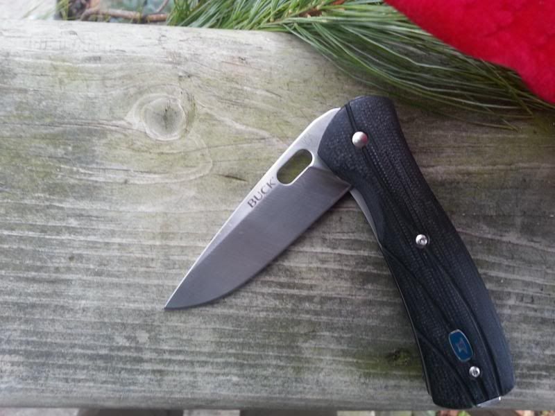 buckvantage2.jpg