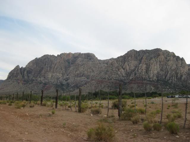 IMG_1057.jpg
