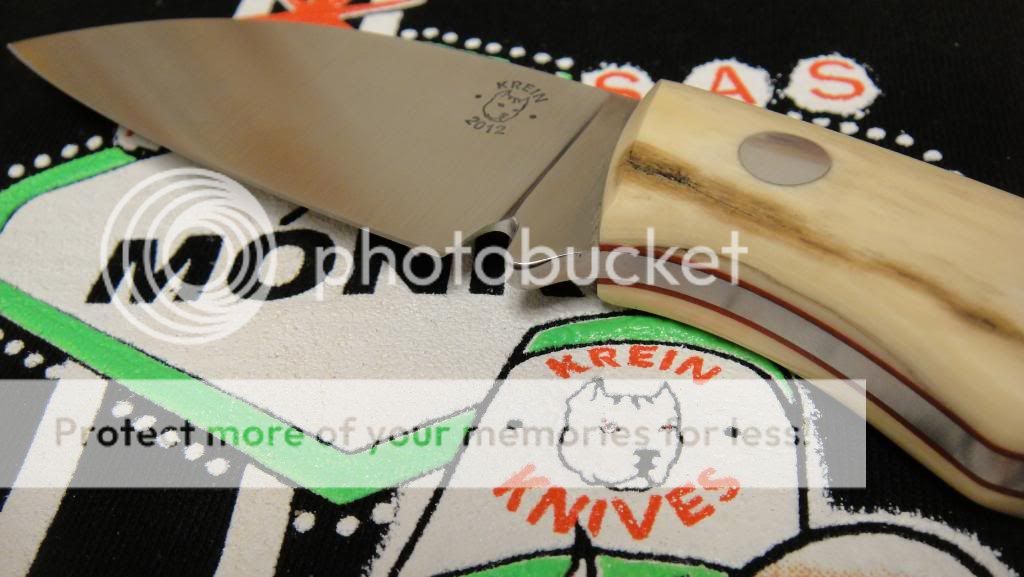 DSC04041.jpg