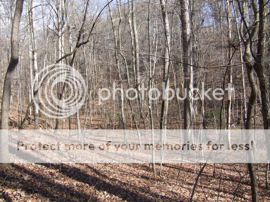 2009_11210033.jpg