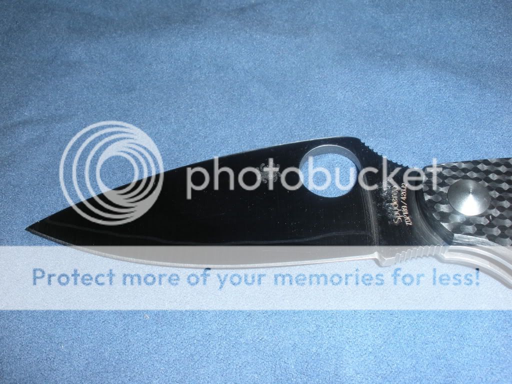 DSCN0274.jpg