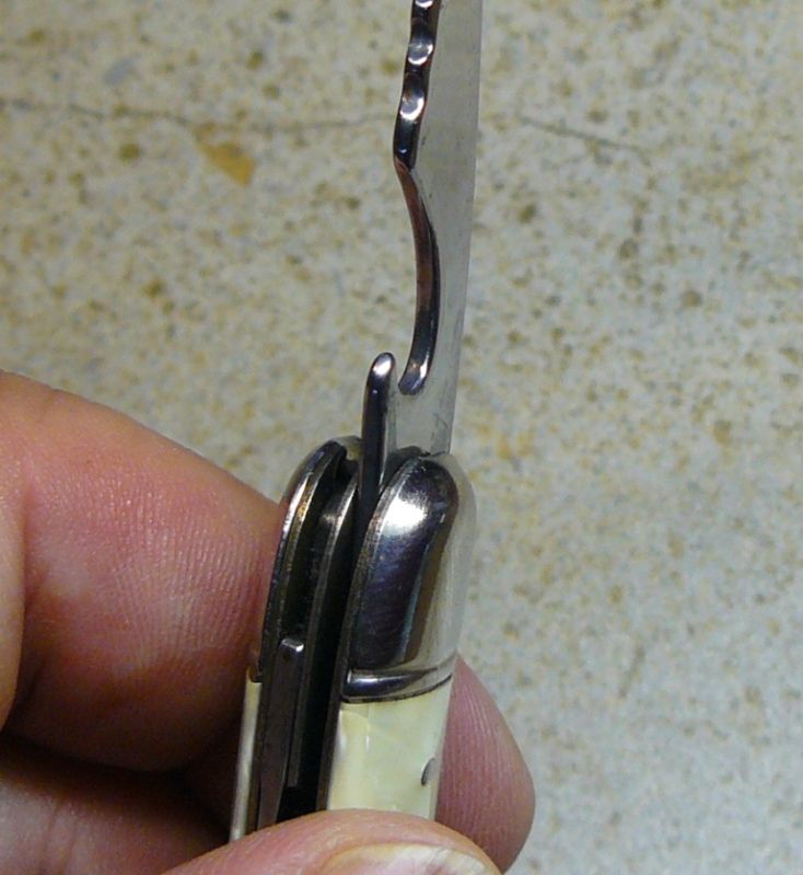 09-09-2012SchradeFishfolder040.jpg