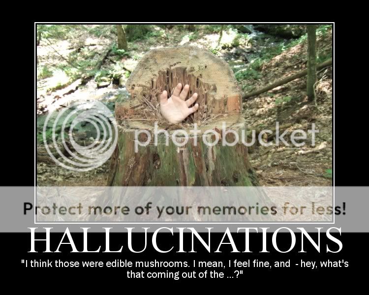 hallucinations.jpg