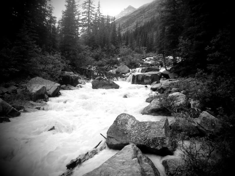 Banff2012197.jpg
