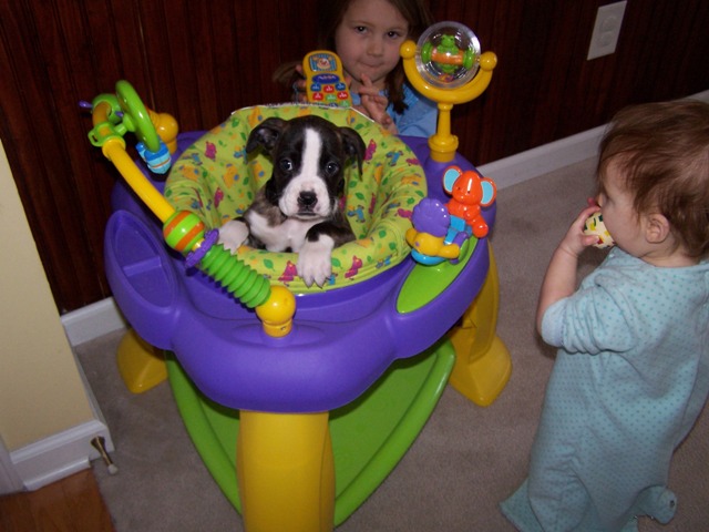 Playtime79-vi.jpg