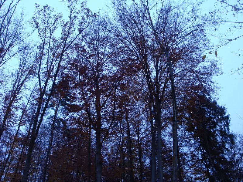 DSC01057.jpg