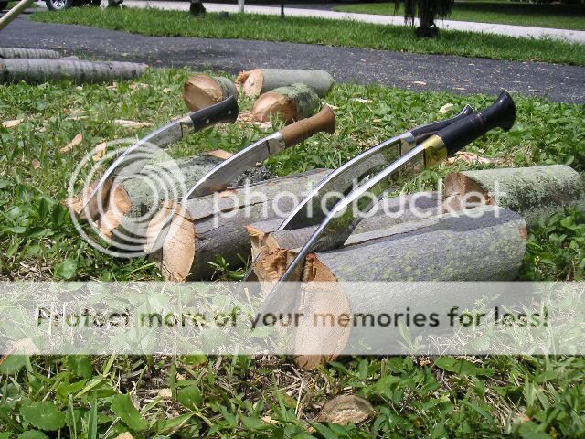 PICT0006.jpg
