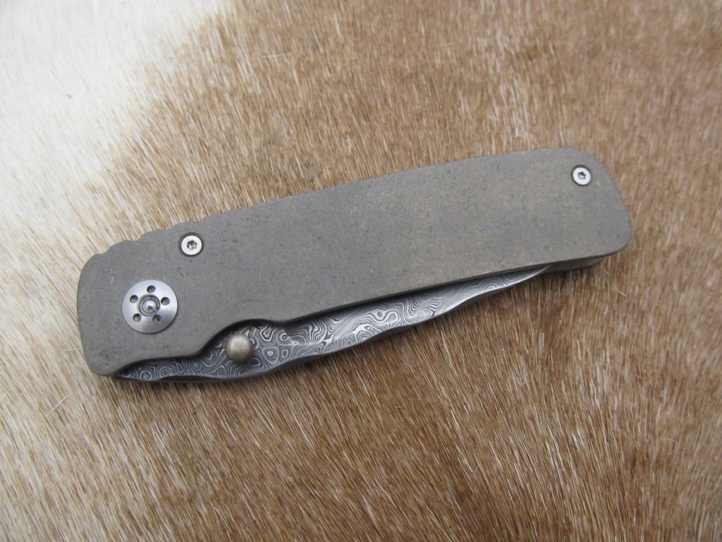 framelockwithsnake005.jpg