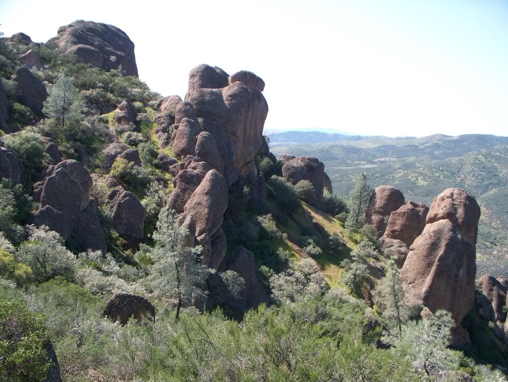 Pinnacles2010033.jpg