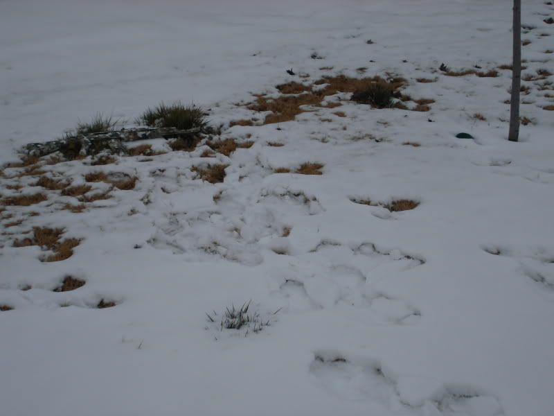 DSC03836.jpg