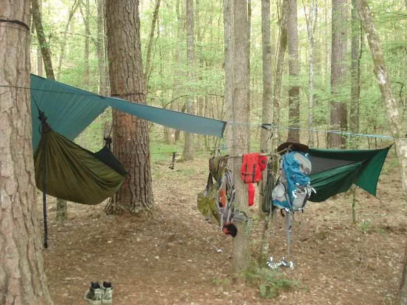 HammockCamp.jpg