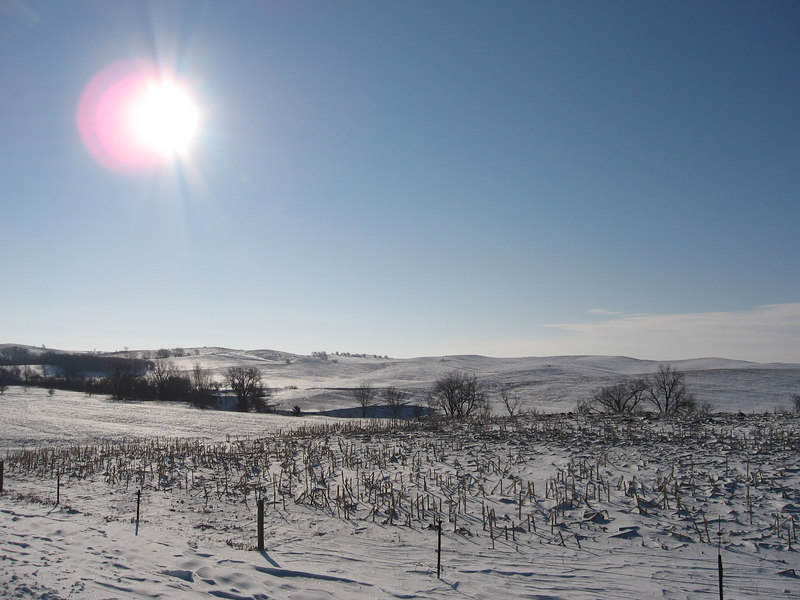 137368002_cQDiY-L.jpg
