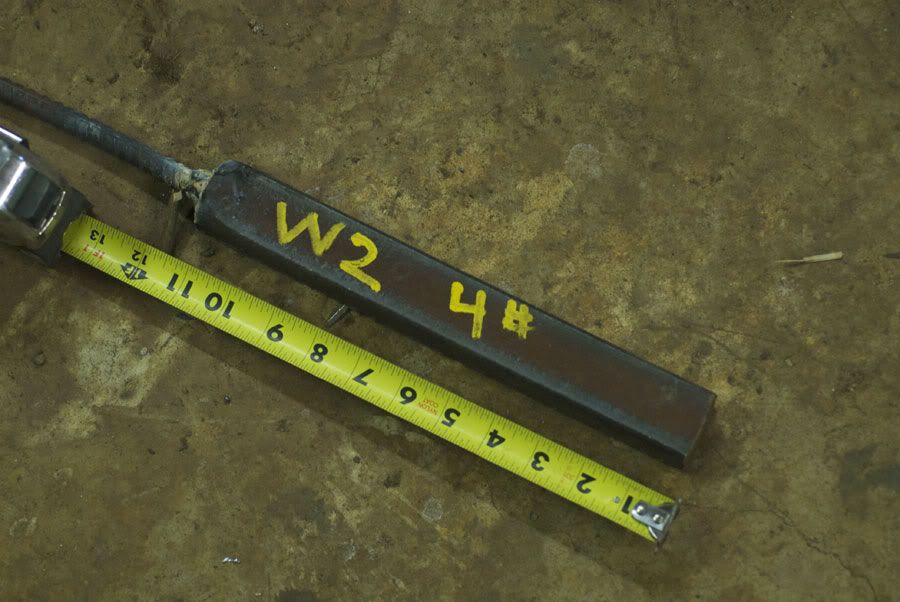 hawkWIP1.jpg