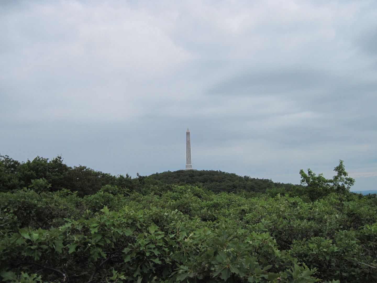 IMG_7057.jpg