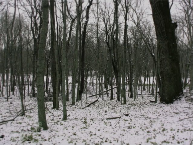 Picture002.jpg