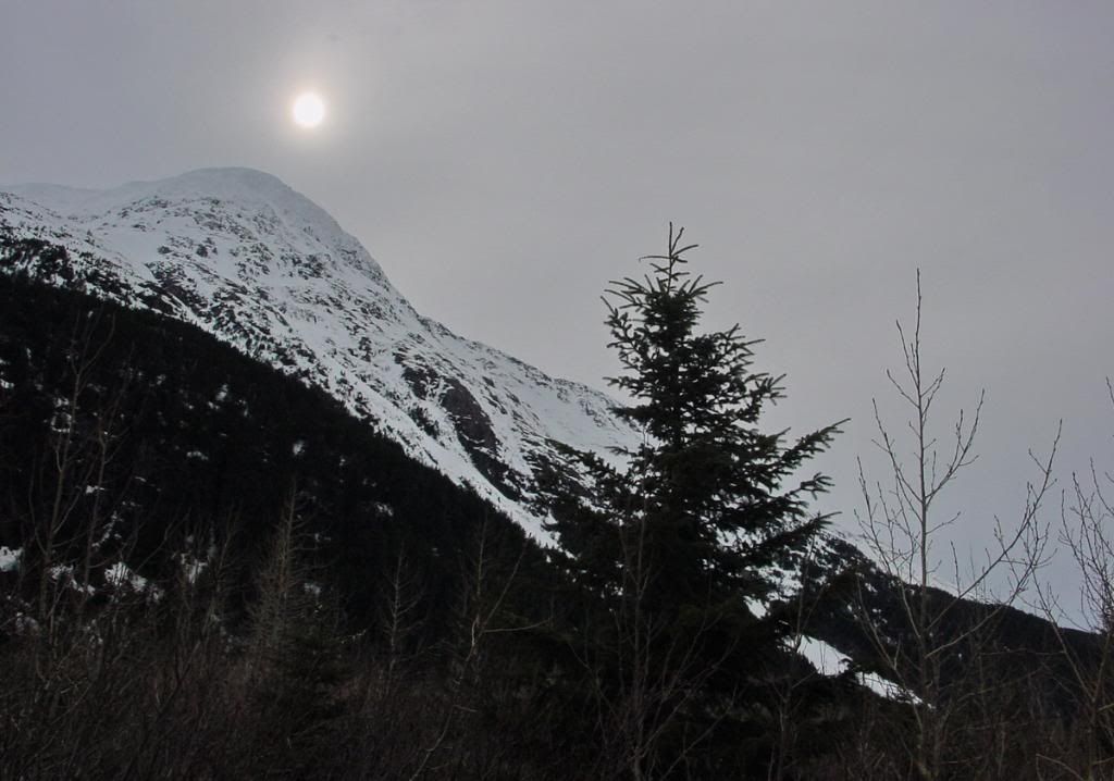 2004-04-2921-24-25_resize.jpg