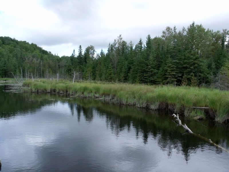DSCF3542.jpg