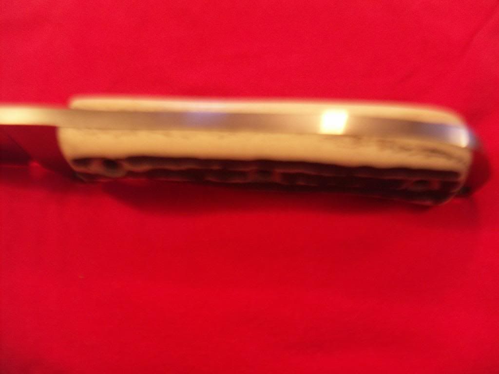 new_busse_3.jpg