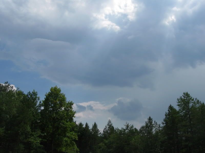 IMG_1557.jpg