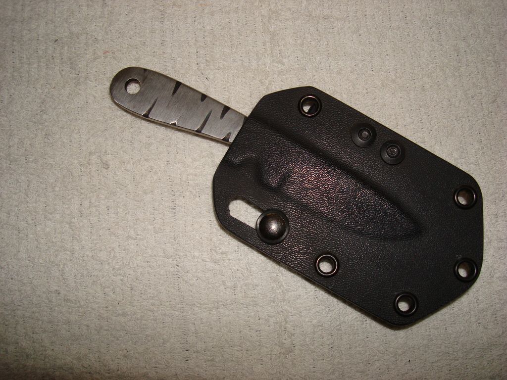 DSC06971_zpszwukkq4v.jpg