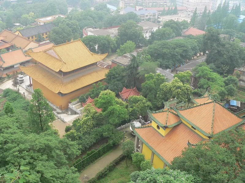 P1400607.jpg