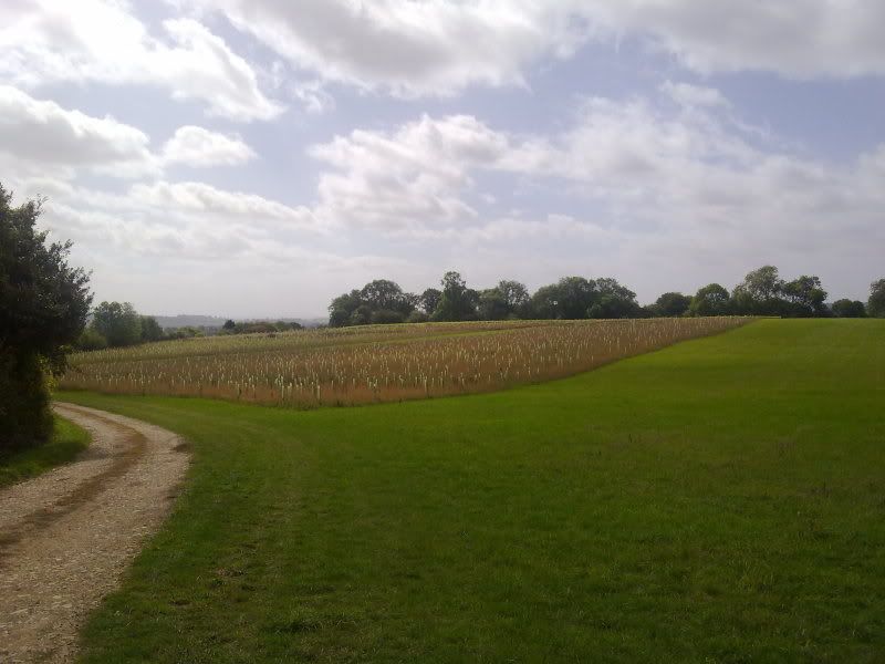 12092011137.jpg