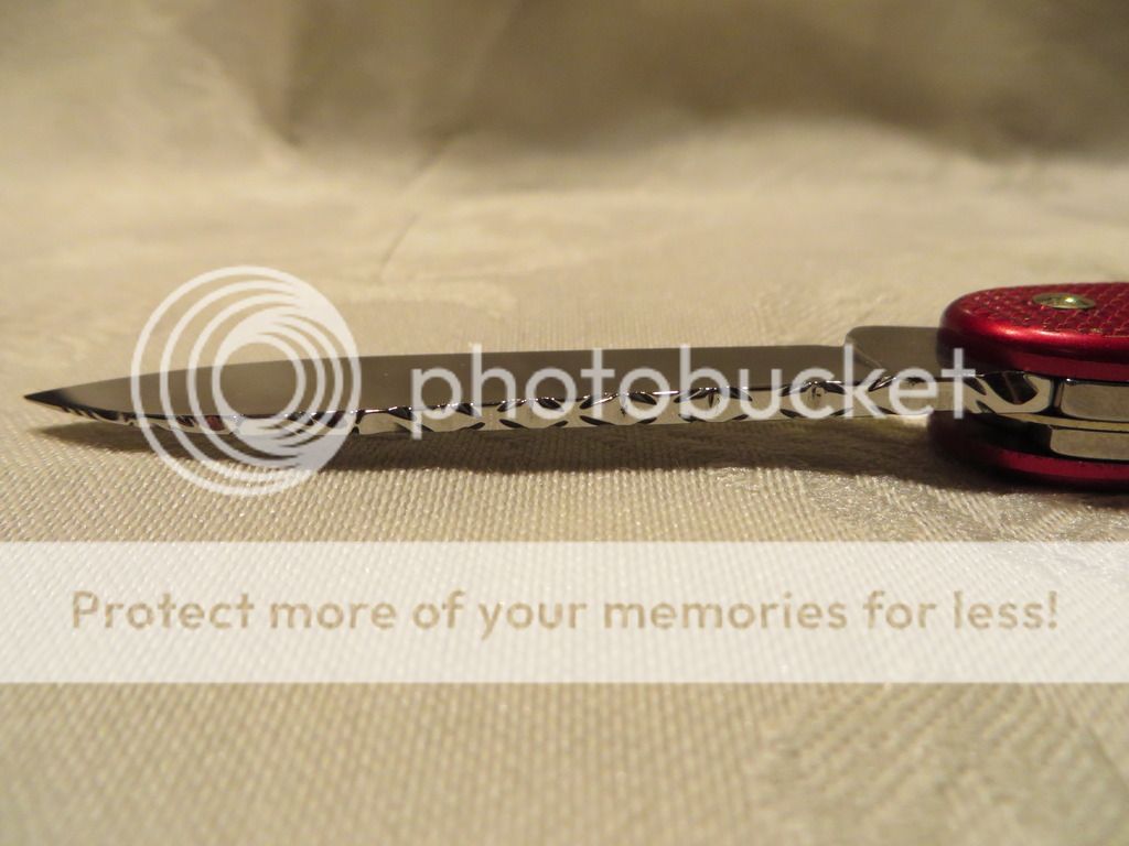 IMG_0668_zpssg7oweat.jpg