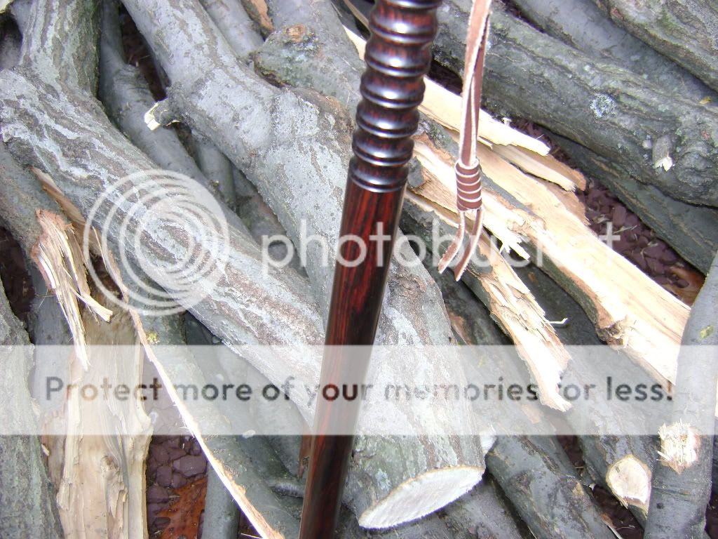 crwalkingstick003.jpg