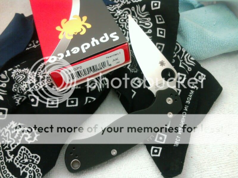 1299271937-picsay.jpg