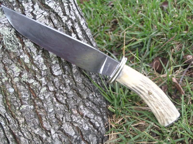 ElkBowie1.jpg