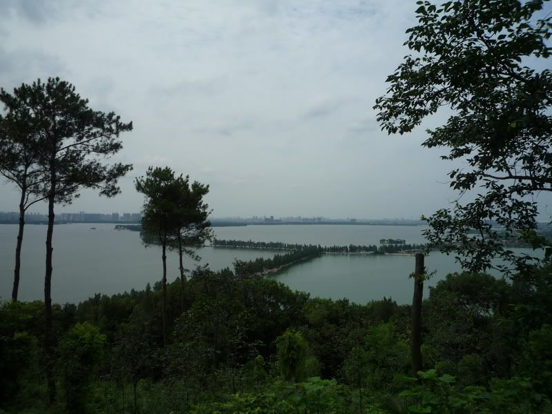 P1080067.jpg