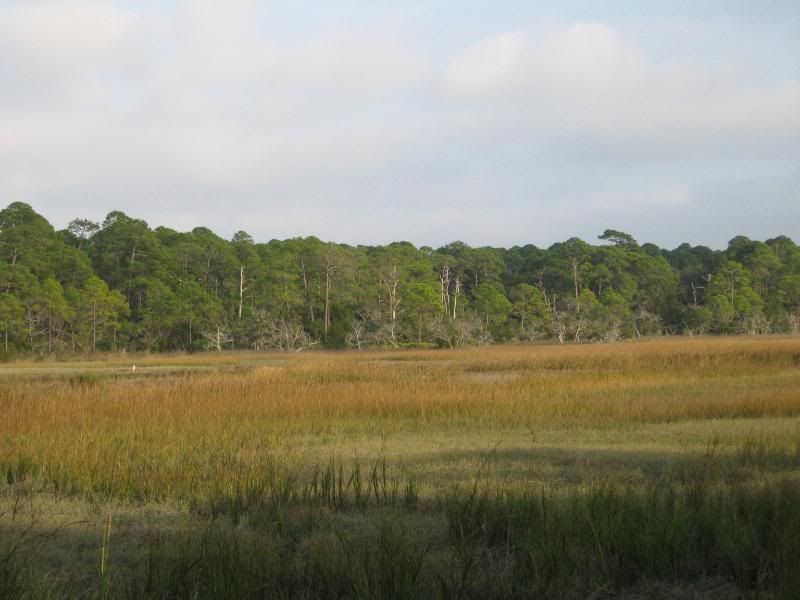 camp016.jpg