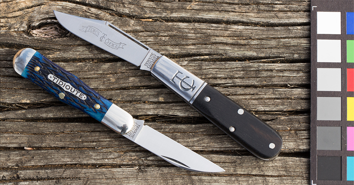 gec09bluejiggedbone-4.jpg