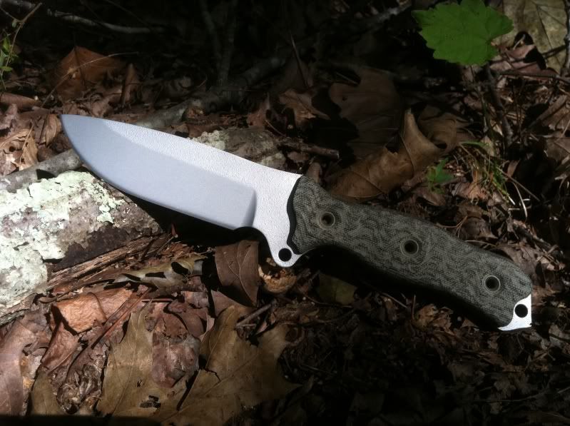 BAT4.jpg