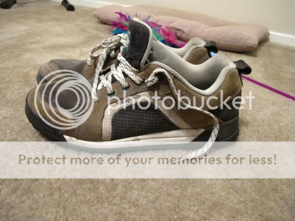 IMG_1796_zps22df893d.jpg