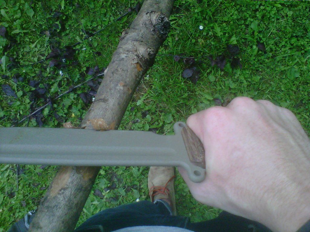 IMG-20120709-00150.jpg