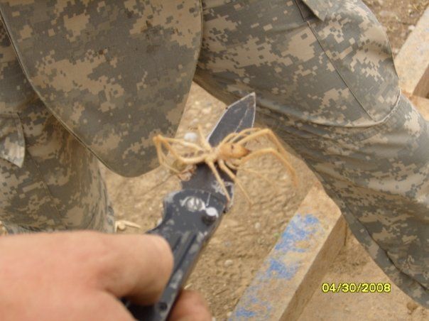 iraq_knife.jpg