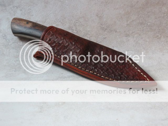 IMG_2185_zps43c1a003.jpg