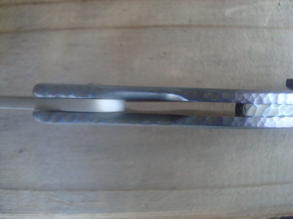 flipper12710033.jpg