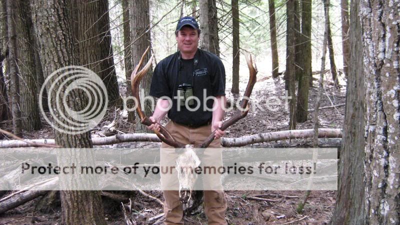 elkantler008.jpg