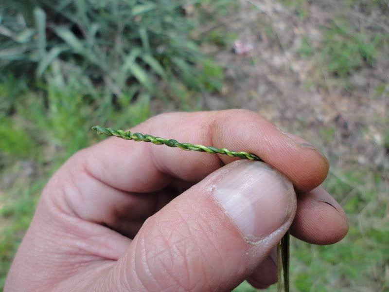bushclass051.jpg