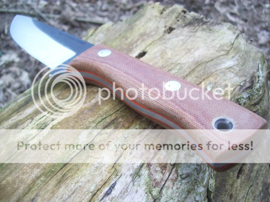 100_9110_zps3682b214.jpg