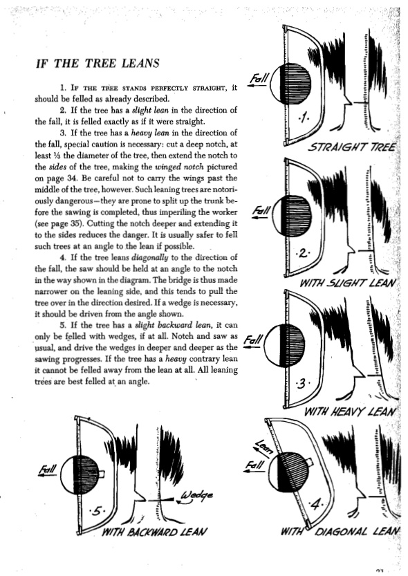 Wedge-shaped%20hinge.jpg