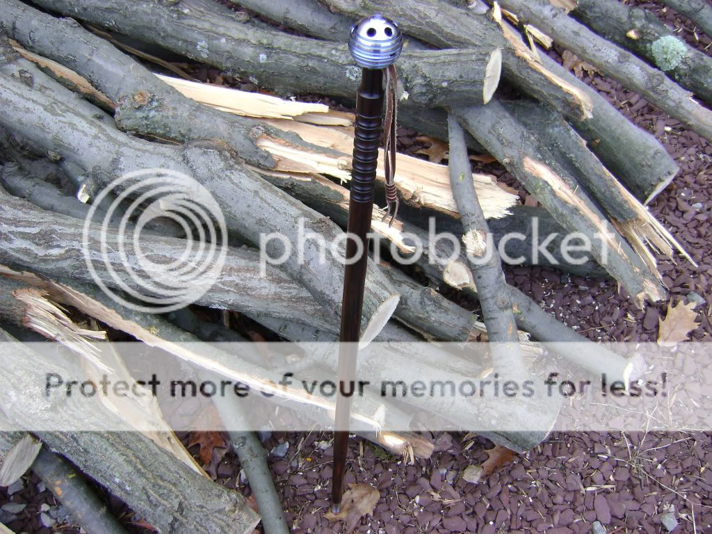 crwalkingstick001.jpg