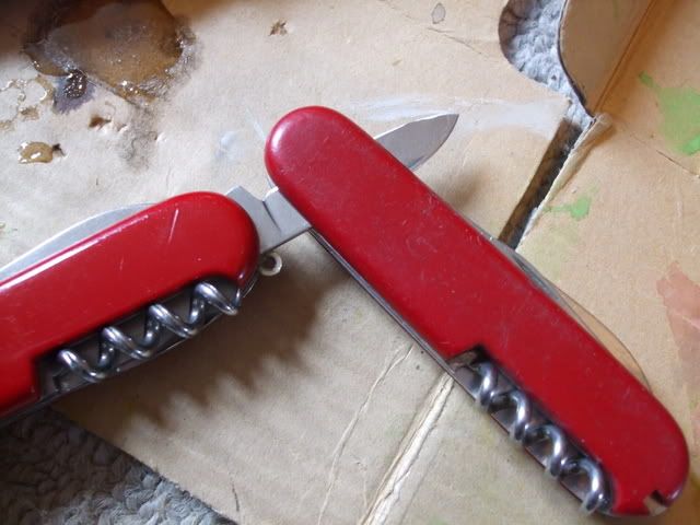 DSCF3555.jpg