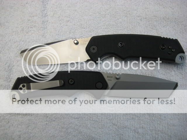 2008Bucks002.jpg