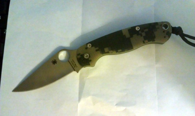para2-1.jpg