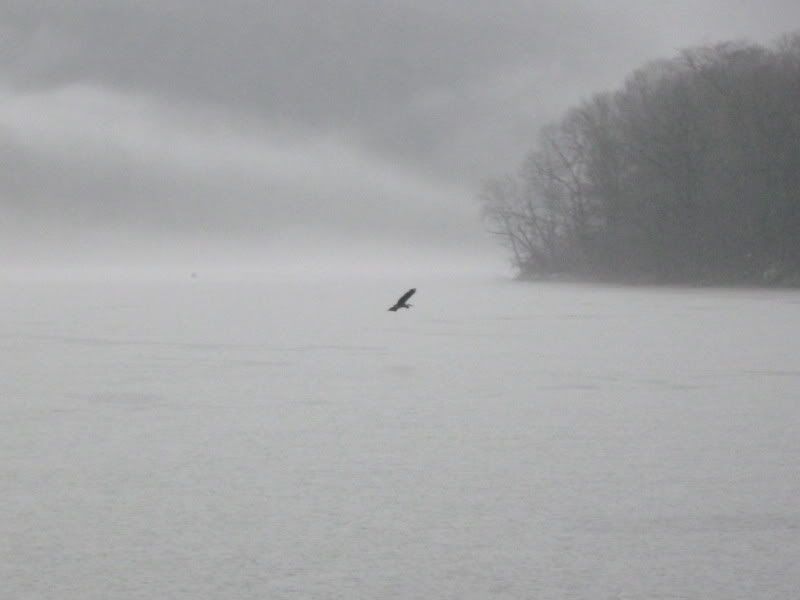 IMG_5579.jpg