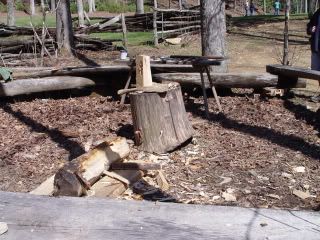 DSC06303.jpg